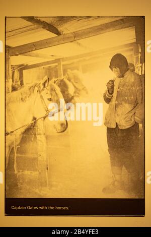 Fotografia scattata da Herbert Ponting durante la spedizione antartica britannica guidata da Robert Falcon Scott che si è svolta tra il 1910 e il 1913, in mostra come parte della Collezione Oates. La Collezione Oates celebra la vita del Capitano Lawrence Oates, ed è nella Casa Bianca di Gilbert, un museo a Selborne, Hampshire, Regno Unito. Questa fotografia è di Captain Oates con i cavalli. Foto Stock