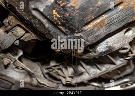 La vite svitata sul fondo della coppa dell'olio nel motore diesel attraverso la quale fuoriesce il resto dell'olio motore usato. Foto Stock