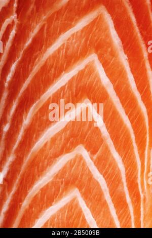 Macro primo piano di un filetto di salmone crudo. Foto Stock