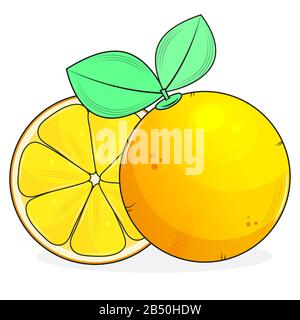 Sezione Arancione Con Foglie Isolate Su Sfondo Bianco. Illustrazione Vettoriale Adatta Per La Stampa Di Biglietti D'Auguri, Poster O T-Shirt. Illustrazione Vettoriale
