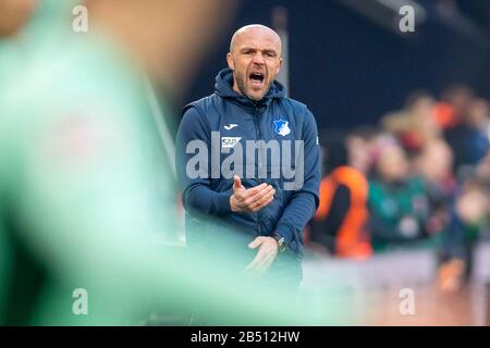 Gelsenkirchen, Germania. 07th Mar, 2020. Calcio: Bundesliga, FC Schalke 04 - 1899 Hoffenheim, 25th matchday, nel Veltins-Arena Hoffenheim allenatore Alfred Schreuder dà le istruzioni. Credito: David Inderlied/dpa - NOTA IMPORTANTE: In conformità con le norme del DFL Deutsche Fußball Liga e del DFB Deutscher Fußball-Bund, è vietato sfruttare o sfruttare nello stadio e/o dal gioco fotografato sotto forma di immagini di sequenza e/o serie di foto video-simili./dpa/Alamy Live News Foto Stock