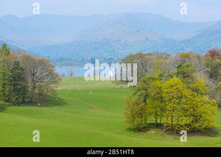 Lago Windermere visto dai terreni di Wray Castle, Low Wray, Lake District National Park, Cumbria, Regno Unito, in un pomeriggio di aprile. Foto Stock
