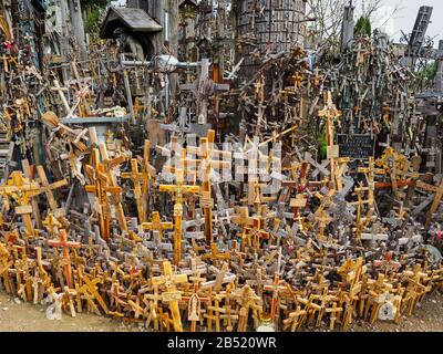 Collina delle croci in Lituania. Attraversa Hill in estate. Destinazione del viaggio. Luogo turistico. Pellegrinaggio cristiano. Tutti che arrivano qui portano la croce. Foto Stock