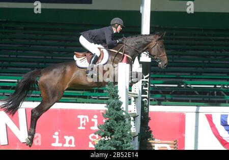 Il Nord America, Spruce Meadows, Giugno 2001, Akita Drilling Cup, Lauren Hough (Usa) In Sella A Cinoa Foto Stock