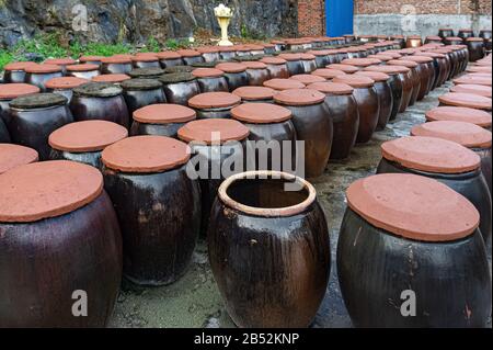 Isola Di Cat Ba, Vietnam, 17 Ottobre 2019. Grandi vasi nella produzione di salsa di pesce in Vietnam. Stabilimenti di produzione di salsa di pesce sull'isola di Cat Ba. Molti Foto Stock