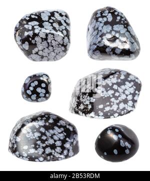 Set di varie gemme di Snowflake Obsidian isolate su sfondo bianco Foto Stock