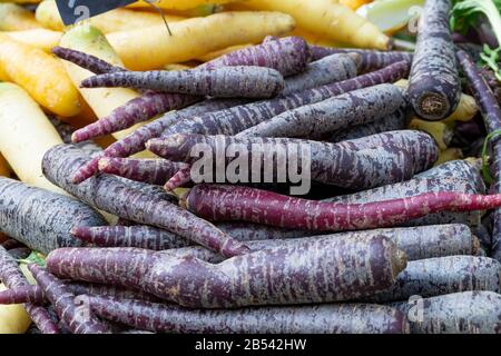 Mucchio di carote viola, caucus carota, su una stalla di mercato. Immagine di sfondo Foto Stock