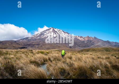 Escursionista che attraversa i prati sul Tongariro Alpine Crossing, Nuova Zelanda Foto Stock