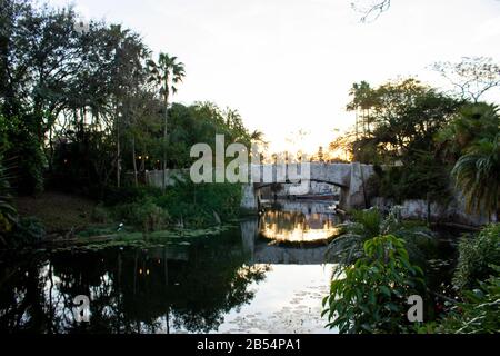 23 febbraio 2020 - Animal Kingdom, Disneyworld, Florida: Il ponte al tramonto che collega l'area di Discovery Island del parco all'area dell'Africa Foto Stock