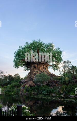 23 febbraio 2020 - Animal Kingdom, Orlando, Florida: Il famoso albero di riferimento della vita con 300 sculture di animali Foto Stock