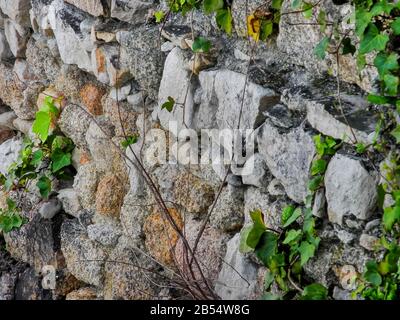 Sfondo in pietra e cemento abbandonato con facciata a pavimento in foglie verdi con piante sovracoltivate su vecchie mura acciottolate arrugginite ricoperte di muschio ed erba. Foto Stock