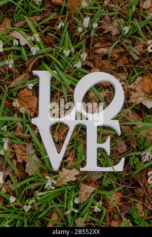 iscrizione lettere d'amore a terra Foto Stock