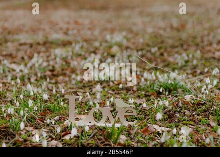 iscrizione lettere d'amore a terra Foto Stock