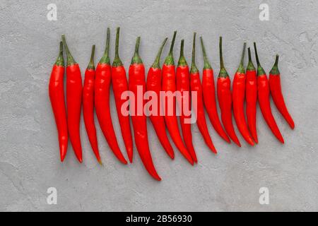 Composizione a posa piatta una fila di peperoncino rosso caldo su fondo di cemento chiaro. Peperoni peperoni piccante modello di carta da parati. Foto Stock