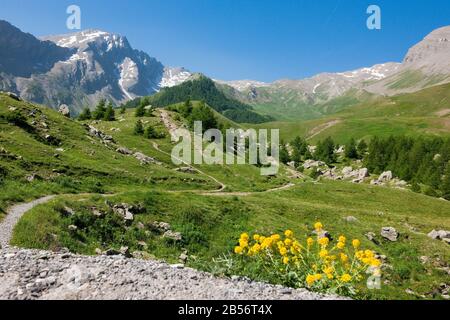 Schöne Anicht am col de Vars Foto Stock