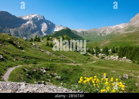 Schöne Anicht am col de Vars Foto Stock