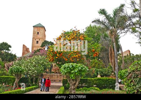 Un paio di passeggini accanto a un albero arancione, fiori e la torre del museo del Palazzo nei giardini andalusi vicino all'antica Kasbah di Rabat. Foto Stock