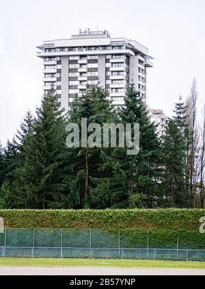 Alto edificio residenziale dietro abeti su sfondo bianco Foto Stock