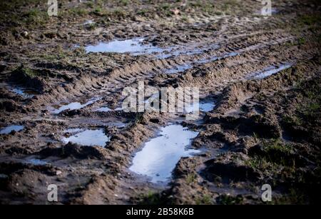 Wittenburg, Germania. 05th Mar, 2020. Un trattore ha premuto i cingoli profondi nel terreno ammorbidito dopo le precipitazioni pesanti. L'organizzazione ambientale BUND ha invitato il governo statale del Meclemburgo-Pomerania occidentale ad attuare il programma statale per la protezione del suolo. Si tratta della conservazione o del ripristino delle buone condizioni del suolo dei campi, prati e pascoli. Credito: Jens Büttner/Dpa-Zentralbild/Dpa/Alamy Live News Foto Stock