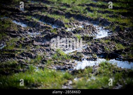 Wittenburg, Germania. 05th Mar, 2020. Un trattore ha premuto i cingoli profondi nel terreno ammorbidito dopo le precipitazioni pesanti. L'organizzazione ambientale BUND ha invitato il governo statale del Meclemburgo-Pomerania occidentale ad attuare il programma statale per la protezione del suolo. Si tratta della conservazione o del ripristino delle buone condizioni del suolo dei campi, prati e pascoli. Credito: Jens Büttner/Dpa-Zentralbild/Dpa/Alamy Live News Foto Stock