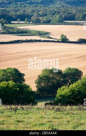 Campi di stoppia di mais, vicino Westerham, Kent, Inghilterra Foto Stock