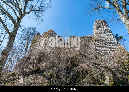 Escursione primaverile nella splendida valle del Danubio, lungo le rovine del castello di Kallenberg, fino al castello di Bronnen, vicino a Fridingen, sul Danubio Foto Stock