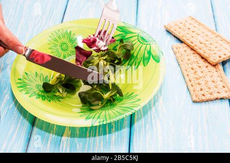 Deliziosa insalata di erbe verdi su un piatto. Il concetto di nutrizione adeguata. Dieta. Foto Stock