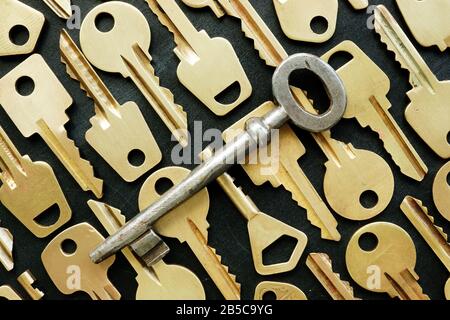 Vecchia chiave di metallo e molti gialli come simbolo della decisione giusta o trovare la chiave. Foto Stock