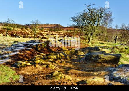 Padley Gorge Trail, Peak District National Park, Longshaw Estate, Derbyshire, Inghilterra, Regno Unito Foto Stock