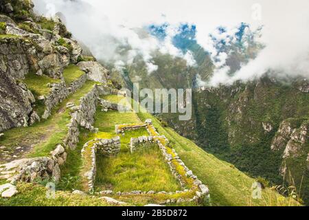 Ex terrazzamenti agricoli a Machu Picchu rovine, Perù. Sud America. Foto Stock