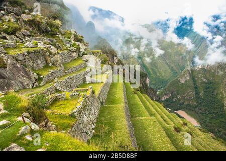 Ex terrazzamenti agricoli a Machu Picchu rovine, Perù. Sud America. Foto Stock