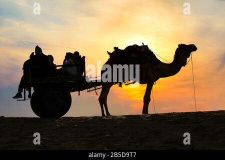 Carrello cammello con il turista in silhouette al tramonto al deserto di Thar Jaisalmer Rajasthan, India Foto Stock
