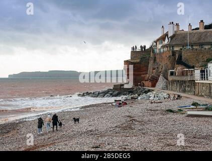 Camminando i cani lungo la spiaggia di ciottoli all'estremità occidentale del Devon di Sidmouth in marzo. Le graziose case di paglia si affacciano sul canale Inglese dall'alto Foto Stock