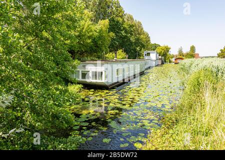 Barche casa sul canale di Chichester, West Sussex. Foto Stock