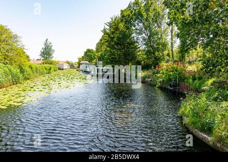 Barche casa sul canale di Chichester, West Sussex. Foto Stock