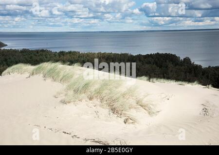 Laguna di Curonian, dune di Parnidis, Lituania Foto Stock