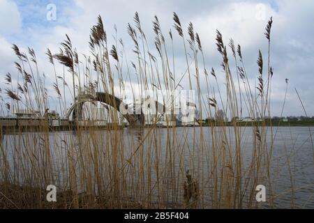 Weir nel fiume Reno vicino Amerongen nei Paesi Bassi Foto Stock