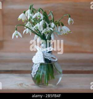 Bouquet di splendide gocce di neve in vaso di vetro. Prima primavera fiori. Regalo di gocce di neve sullo sfondo di legno Foto Stock