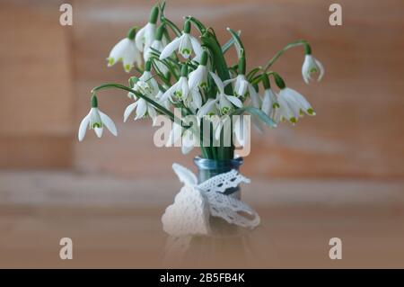 Bouquet di splendide gocce di neve in vaso di vetro. Prima primavera fiori. Regalo di gocce di neve sullo sfondo di legno Foto Stock