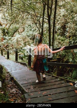 Una giovane donna viaggiatore che cammina lungo un sentiero di legno attraverso Una foresta pluviale in Australia Foto Stock