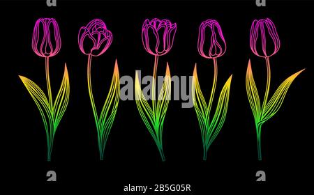 Collezione Di Tulipani Vector Neon Rainbow Con Fusto E Foglia. Set Di Fiori Di Primavera Diversi. Tulip Clipart Isolato Con Petali Multi-Colore. Colorfu Illustrazione Vettoriale