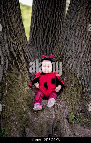 Ritratto carino e allegro di bambino piccolo seduto sull'albero in costume ladybug. Concetto di immaginazione Halloween infanzia e vacanza. Ragazza vestito come Foto Stock