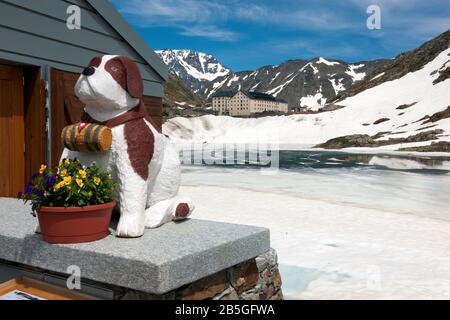 Pass Grand Saint Bernard, Passo del Gran San Bernardo, figura del cane San Bernardo, cantone del Vallese, Svizzera, Piemonte, Italia, Europa / Grand-Saint- Foto Stock