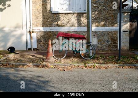 Cat in strada Foto Stock