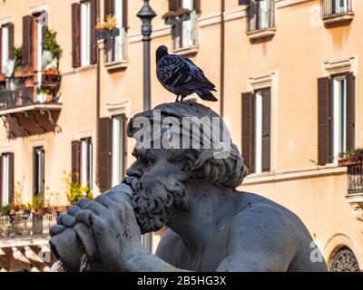 I dettagli architettonici della Fontana del Moro o la Fontana del Moro. Roma. Italia Foto Stock