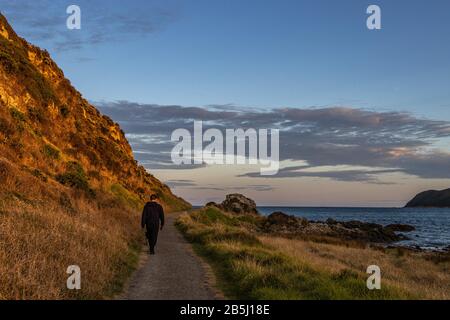 Camminatore del cane nella mattina presto Foto Stock