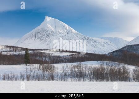 Panorama di fiordi innevati e catena montuosa, Senja, Norvegia. Incredibile Norvegia natura Seascape popolare attrazione turistica migliori luoghi famosi di viaggio. Foto Stock