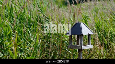 Meteo battuto, legno, rustico alimentatore di uccelli circondato da alte erbe a West Sands Caravan Park, Selsey, Chichester, West Sussex, Regno Unito. Foto Stock