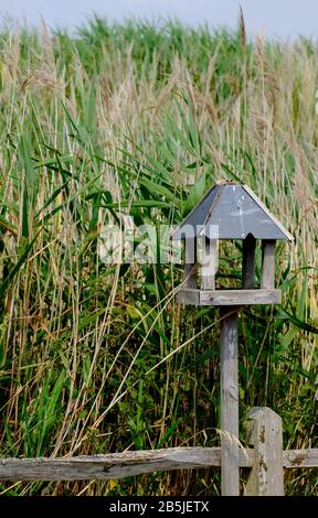 Meteo battuto, legno, rustico alimentatore di uccelli e recinto rustico, circondato da alte erbe a West Sands Caravan Park, Selsey, Chichester, West Sussex, Regno Unito. Foto Stock