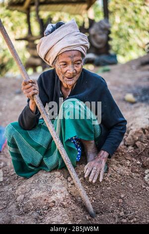 Donna locale con volto tatuato dal villaggio Mindat, stato Chin, Myanmar, Asia. Foto Stock